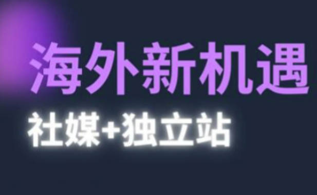 棕榈·2025出海新机遇(社媒+独立站)，海外新机遇，实现独立站的高效运营与出海