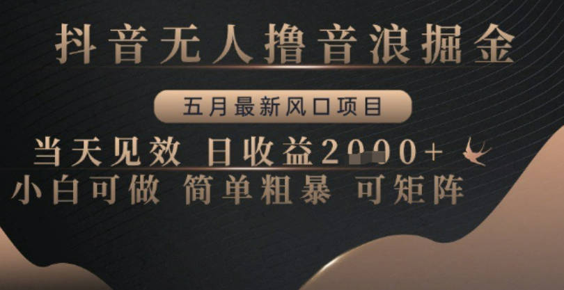 抖音无人撸音浪掘金，五月最新风口项目，当天见效，日收益多张，小白可做简单粗暴可矩阵