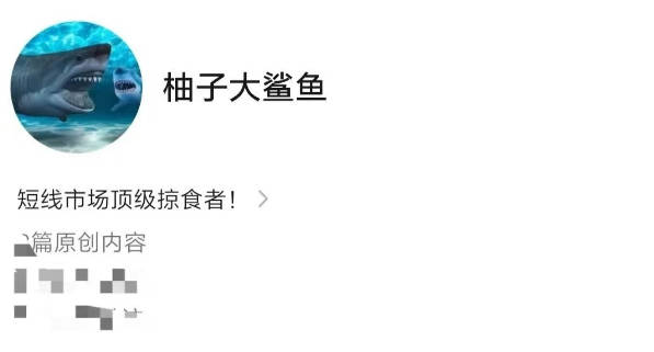 柚子大鲨鱼炒股直播课程