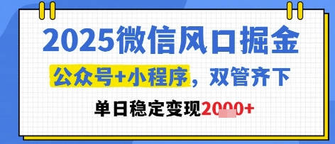 2025微信风口掘金，公众号+小程序双管齐下，单日稳定变现1k+