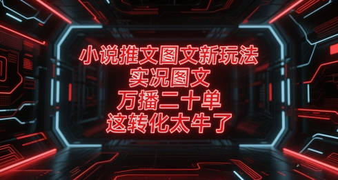 小说推文图文新玩法，实况图文，万播二十单，这转化太牛了