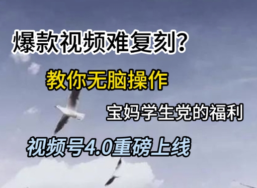 视频号4.0重磅上线，爆款视频难复刻？教你无脑操作宝妈学生党的福利