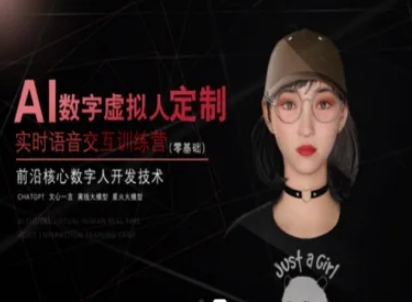 AI数字虚拟人定制，实时语音交互训练营（零基础），前沿核心数字人开发技术