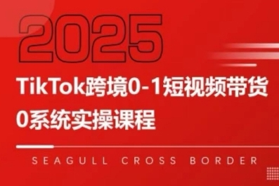 大亿老师TikTok跨境0-1短视频带货，系统拆解TikTok跨境带货全链路，实现跨境可持续盈利