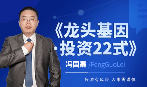 冯国磊2025《龙头基因·投资22式》