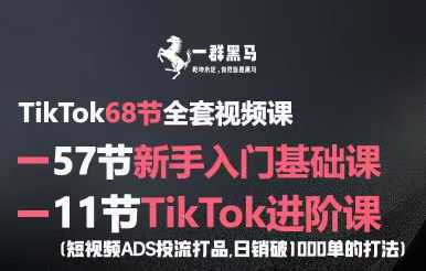 黑马跨境TikTok全套视频课，新手入门+进阶课，短视频ADS-GMV MAX投流打品，日销破1000单打法