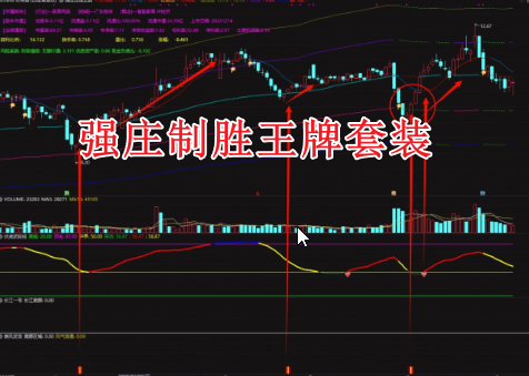 穿越牛熊《强庄制胜王牌套装》龙头暴利强股一网打尽、适合新手老手抄底追牛，不含未来函数