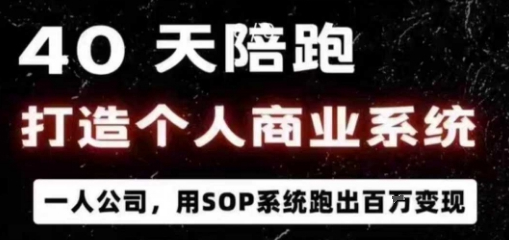 40天商业系统陪跑，一人公司，用SOP系统跑出百W变现