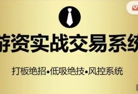 游资枪锋实战系列高端课程，游资实战交易系统，打板绝招低吸绝技风控系统