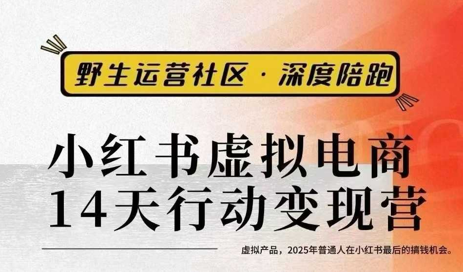 小红书虚拟电商14天变现训练营3.0，虚拟产品，2025年普通人在小红书最后的搞钱机会