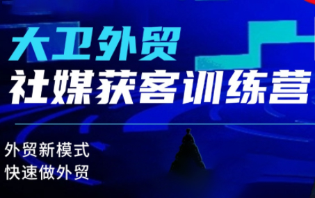 大卫老师·外贸社媒获客独家训练营，外贸新模式，快速做外贸