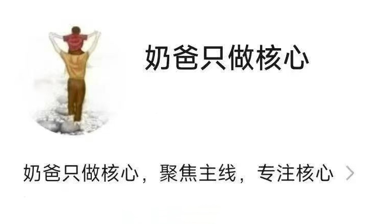 【奶爸只做核心】圈内炒股体系教学视频课程