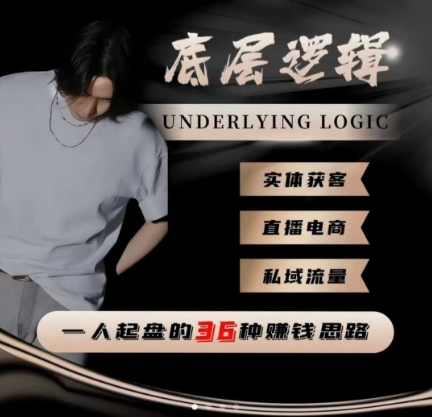 辉总不累一个人起盘的底层逻辑，私域流量-直播电商-实体获客，一人起盘的36种賺钱思路