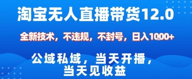 淘宝无人直播12.0，公域私域技术，不封号，不违规布局双十一流量风口，日入1k（独家技术）