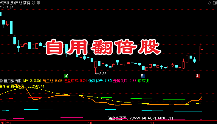 〖自用翻倍股〗副图指标 跟着主力做主升浪