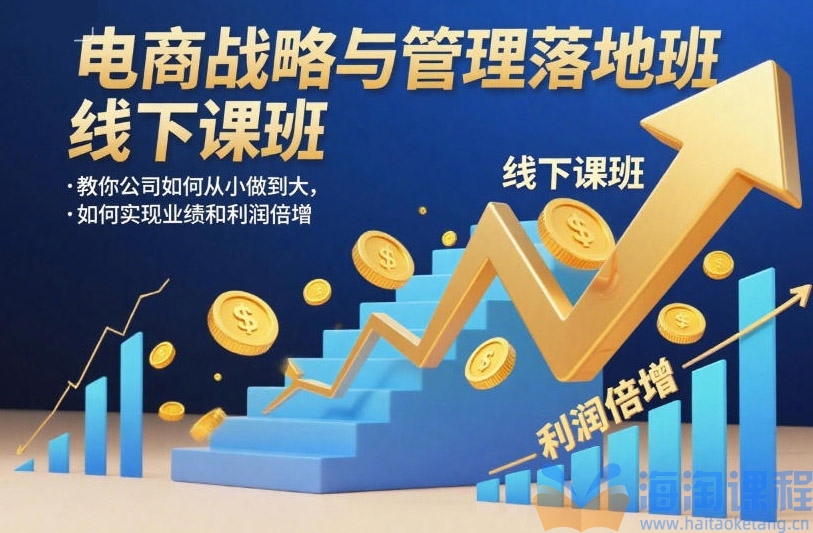 电商战略与管理落地班线下课，教你公司如何从小做到大，如何实现业绩和利润倍增【录音】