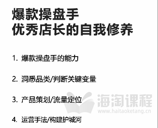 亚马逊爆款操盘手：优秀店长的自我修养