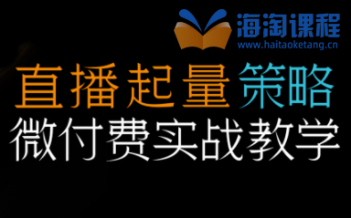 半野老师视频号直播带货起量与微付费实战教学，新手到进阶全流程