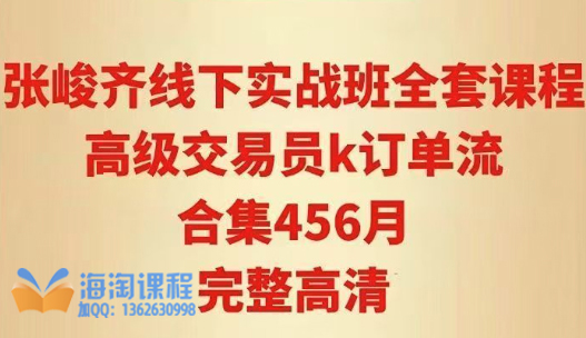 张峻齐线下实战班 高级交易员k订单流合集456月