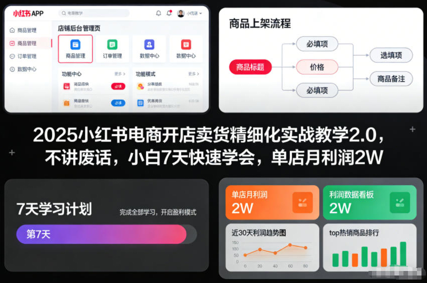 2025小红书电商开店卖货精细化实战教学2.0，不讲废话，小白7天快速学会，单店月利润2W