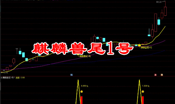 金钻【麒麟兽尾1号】主附图选股/尾盘T1思路高胜率/手机电脑通用无未来函数适合上班族