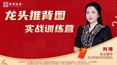 刘琦龙头推背图龙头掘金03期小班课