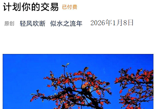 似水之流年260108付费文：计划你的交易