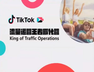TikTok选品流量算法变现实操，TK流量运营王者孵化班