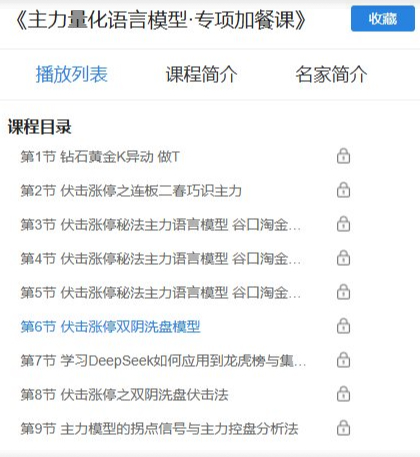 荆钰开《主力量化语言模型·专项加餐课》