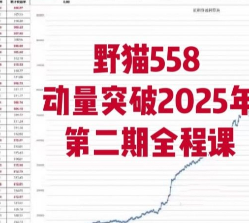 野猫558动量突破2025年第二期全程课