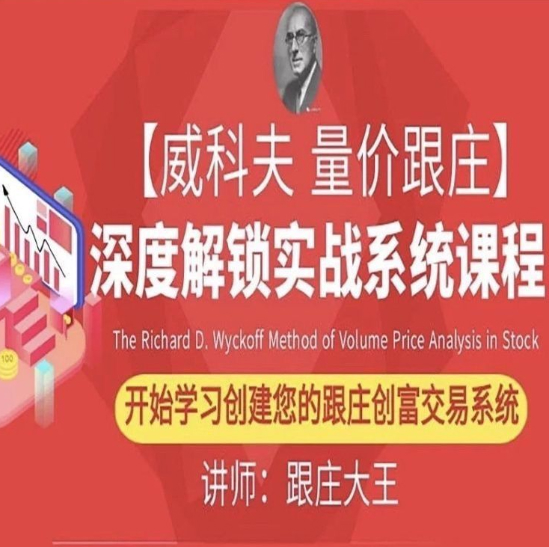 跟庄大王第七届威科夫量价跟庄培训班课程视频回放(包含PPT课件资料)