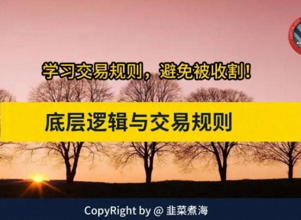 韭菜煮海《交易底层逻辑与交易规则》，股市进阶必修课