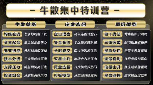 2025年袁博牛散特训营视频+资料+指标