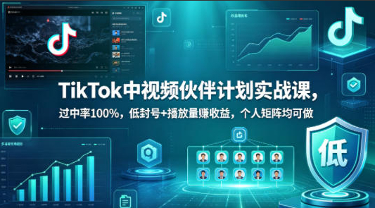 TikTok中视频伙伴计划实战课，过中率100%，低封号+播放量賺收益，个人矩阵均可做