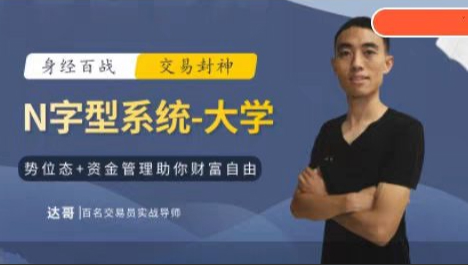 达哥N字交易系统小学、中学、大学合集