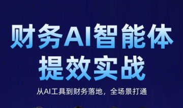 财务AI智能体提效实战 从AI工具到财务落地，全场景打通