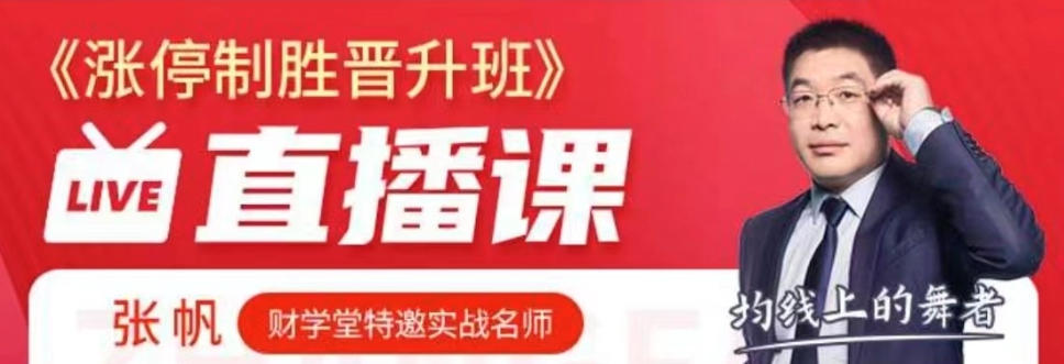 张帆抓板技能提升 涨停制胜晋升班精品小班课