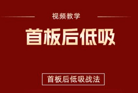 【首板后低吸战法】视频+指标