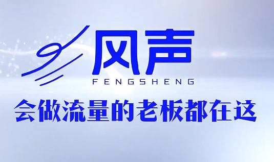 董十一·风声短视频AI获客年度会员