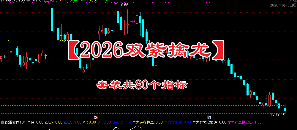 【2026双紫擒龙】套装共80个指标 紫紫红黄 ，主力吸筹， 抓龙头，跟主力 无加密，永久使用