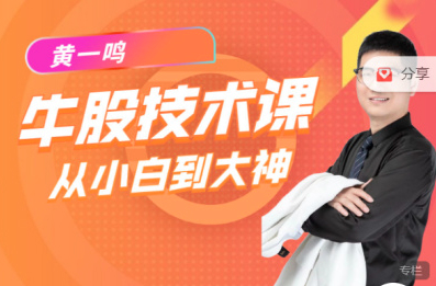 黄一鸣《牛股技术》实操课 15节