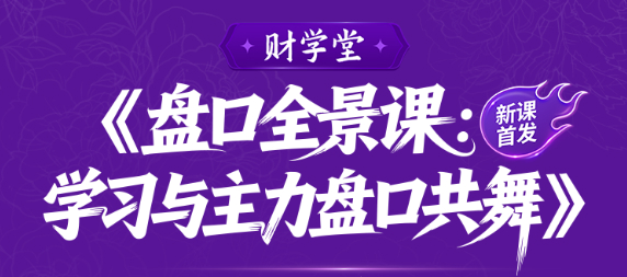 雨禾《盘口全景课：学习与主力盘口共舞》