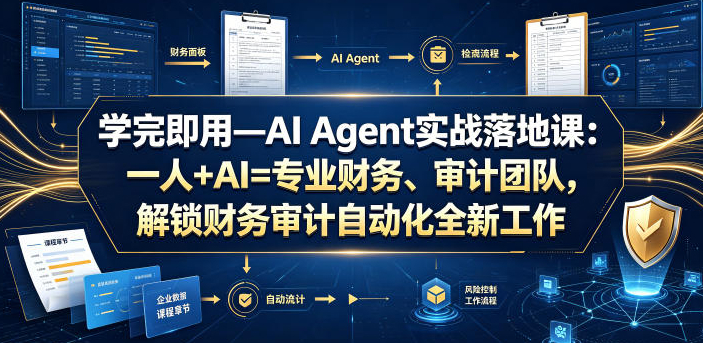 学完即用—AI Agent实战落地课：一人+AI=专业财务、审计团队，解锁财务审计自动化全新工作模式