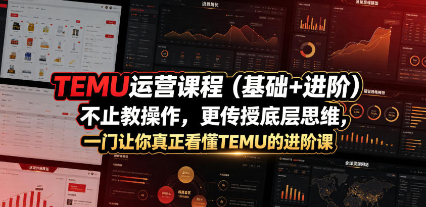 TEMU运营课程（基础+进阶），不止教操作，更传授底层思维，一门让你真正看懂TEMU的进阶课