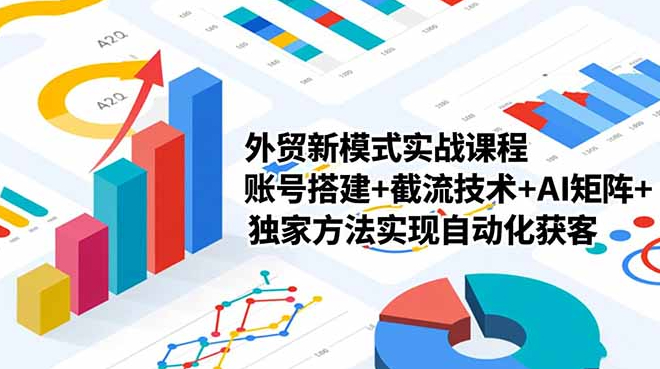 大卫老师·外贸社媒获客独家训练营，外贸新模式实战课程，账号搭建+截流技术+AI矩阵+独家方法实现自动化获客