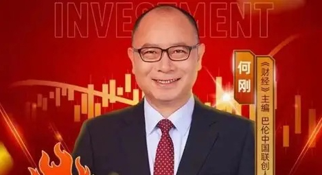 何刚 投资参考2026 音频+文档