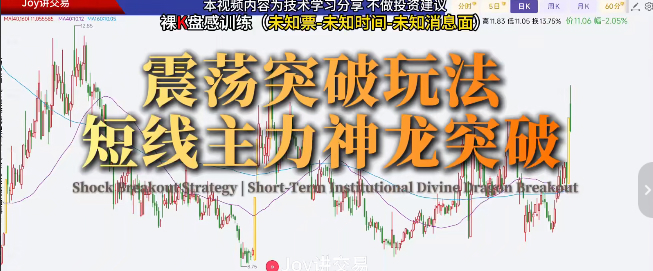 Joy交易进阶课程-千盘试炼，裸K盘感训练