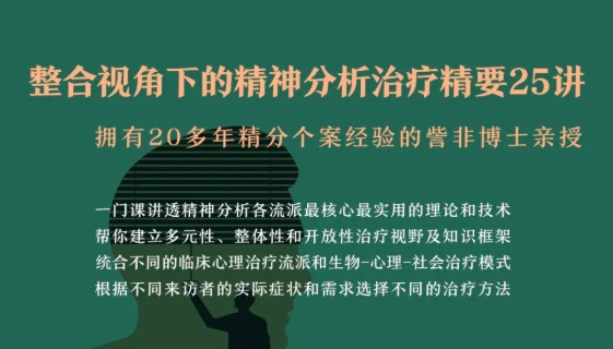 訾非：整合视角下的精神分析治疗精要25讲