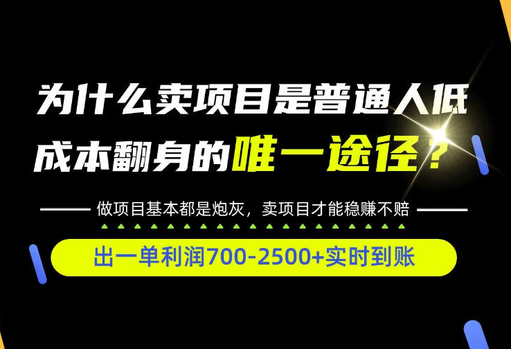普通人如何靠互联网賺取自己的第一桶金！全类目实操型教学，看完你全都懂了！【揭秘】
