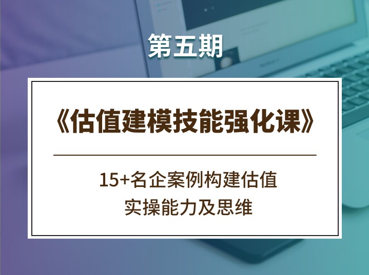 估值建模技能强化课《第五期》